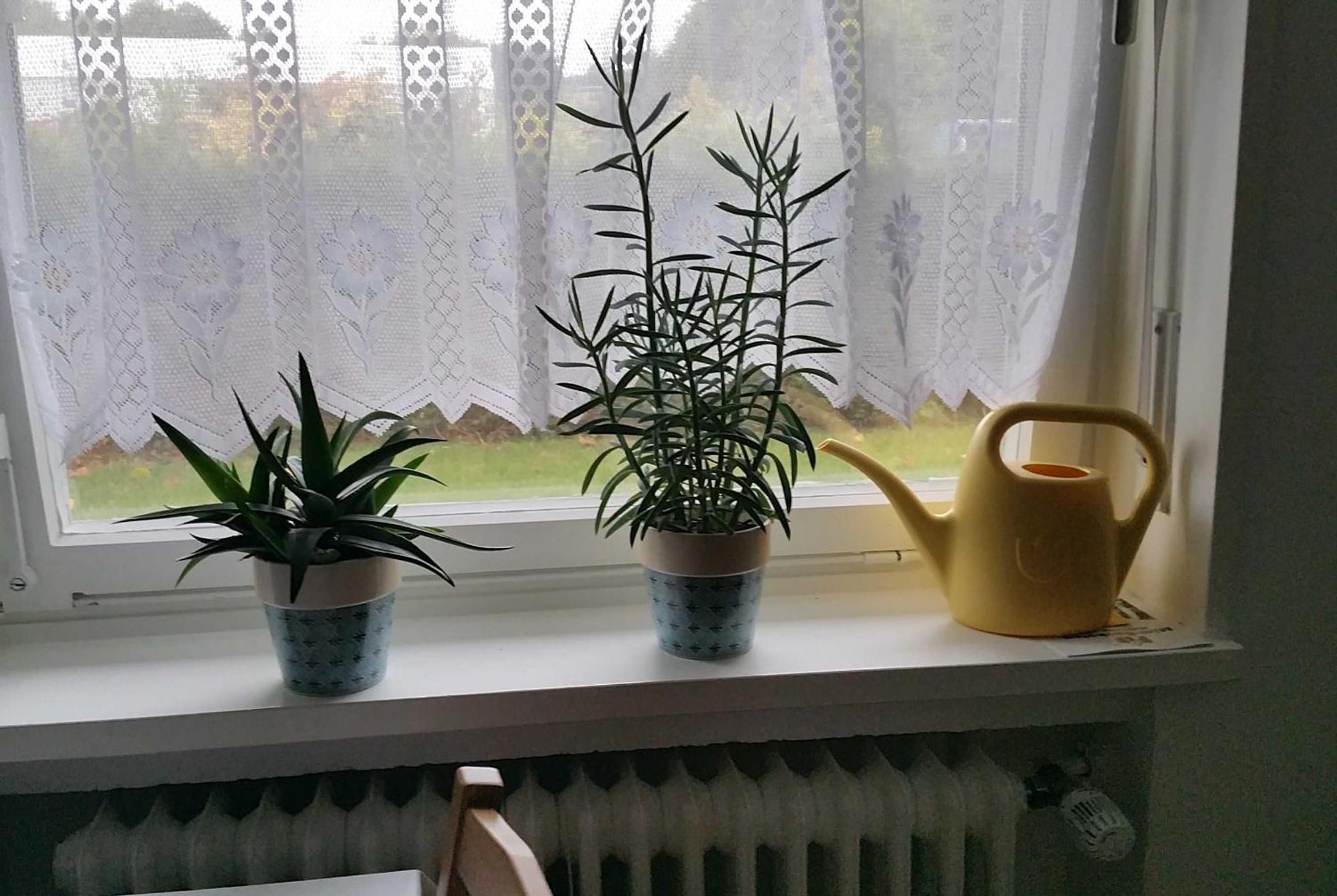 Ferienwohnung Rombachs Spatzennest 헤르볼츠하임 외부 사진